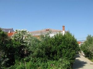 objects/1191/124298_julijana 20.jpg